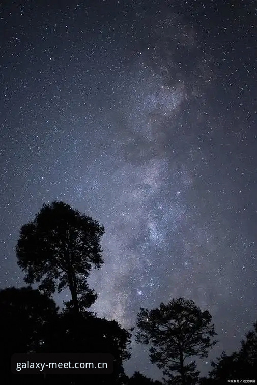 星空APP中国下载 为什么越来越多的用户选择通过星空APP中国下载获取赛事数据?